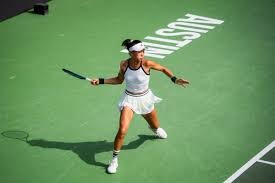 《原神》5.6新版本前瞻：稻妻混池携“人权卡”回归